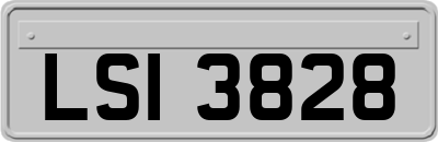 LSI3828