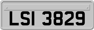 LSI3829