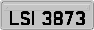 LSI3873