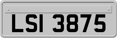 LSI3875