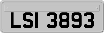 LSI3893