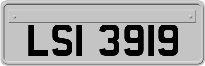 LSI3919