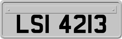 LSI4213