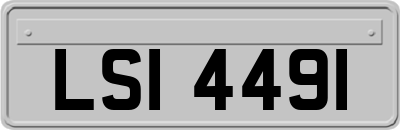 LSI4491
