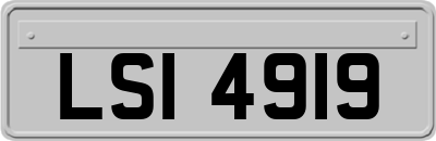 LSI4919