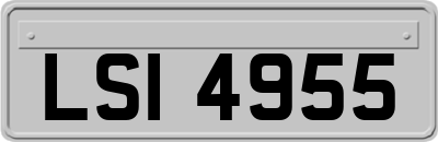 LSI4955