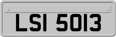 LSI5013