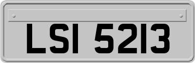 LSI5213