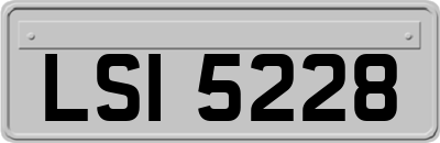 LSI5228