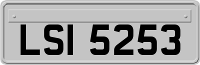 LSI5253