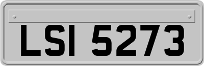 LSI5273