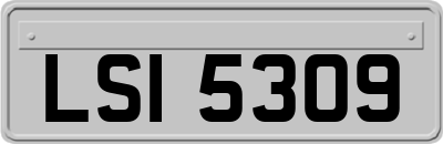 LSI5309