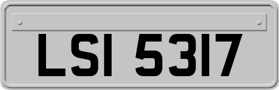 LSI5317