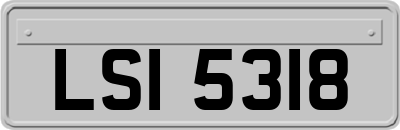 LSI5318