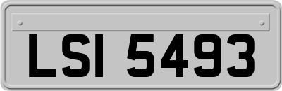LSI5493