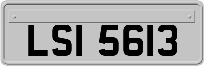 LSI5613