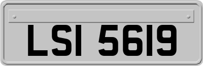 LSI5619