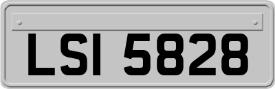 LSI5828
