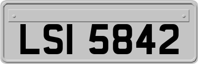 LSI5842