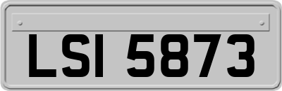LSI5873