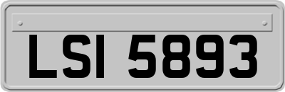 LSI5893