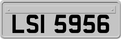 LSI5956