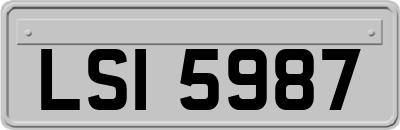 LSI5987