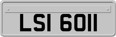 LSI6011