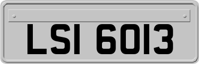 LSI6013