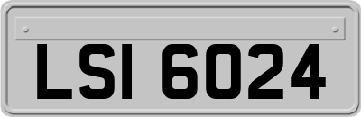 LSI6024