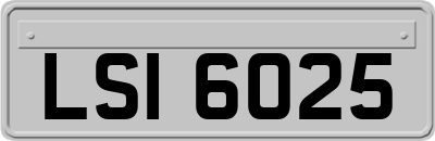 LSI6025