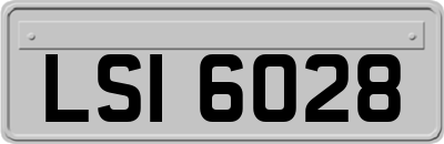 LSI6028