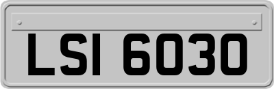LSI6030