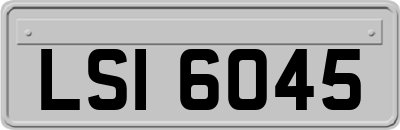 LSI6045