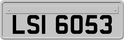 LSI6053