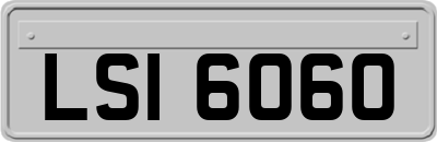 LSI6060