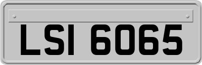 LSI6065
