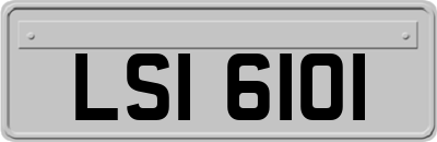 LSI6101