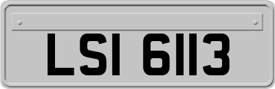 LSI6113