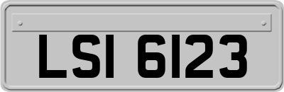LSI6123