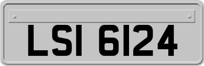 LSI6124