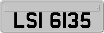LSI6135