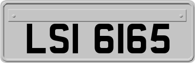 LSI6165