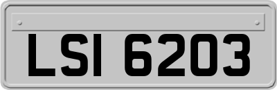 LSI6203