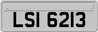LSI6213