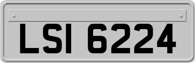 LSI6224