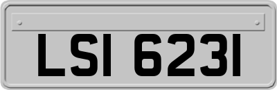 LSI6231