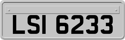 LSI6233