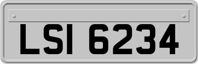 LSI6234