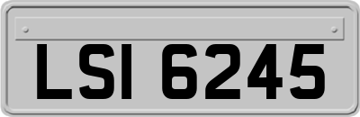 LSI6245